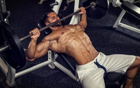 How To Get A Stronger Bench Press In Muscle Prodigy Scoop It
