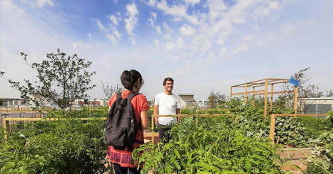 Un réseau de potagers en ville - France Inter | Pour innover en agriculture | Scoop.it