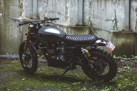 triumph tfc2 scrambler