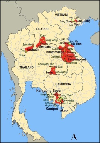 SE ASIA: Project on SRI in the Lower Mekong River Basin | SRI Global News ++ March - May 2025    System of Rice Intensification (SRI) | Scoop.it