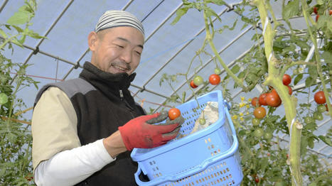 Japon : pour sauver son agriculture, le pays tente de recruter des exploitants néophytes assistés à distance - France TV info | Pour innover en agriculture | Scoop.it