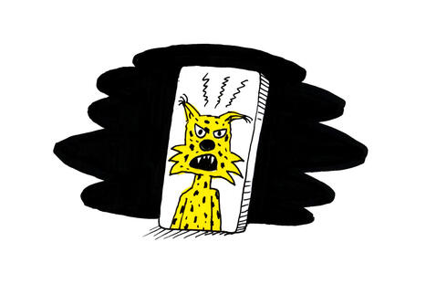 Pakina: Vuonna 2025 some j&auml;rkyttyi ja p&ouml;yristyi &ndash; ja r&auml;j&auml;hti, kun ilves hy&ouml;kk&auml;si villakoiran kimppuun | 1Uutiset - Lukemisen t&auml;hden | Scoop.it