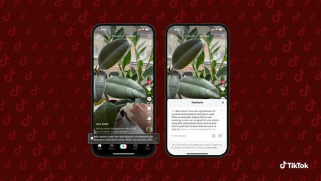 TikTok lance "Footnotes", son nouvel outil communautaire pour lutter contre la désinformation aux États-Unis | Journalisme & déontologie | Scoop.it
