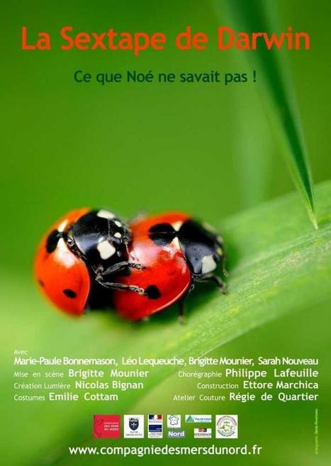 Grande-Synthe - Rencontre avec Brigitte Mounier, metteure en scène de «La Sextape de Darwin» | Variétés entomologiques | Scoop.it