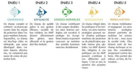Aires marines prot&eacute;g&eacute;es : l&rsquo;heure du bilan et d&rsquo;une nouvelle strat&eacute;gie | ECOLOGIE - ENVIRONNEMENT | Scoop.it