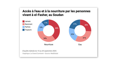 SOUDAN : À el-Fasher, plus de la moitié de la population n’a pas accès à l’eau | AFRIQUES | Scoop.it