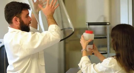 AberActives : ingr&eacute;dients innovants cosm&eacute;tique | Innovation Agro-activit&eacute;s et Bio-industries | Scoop.it