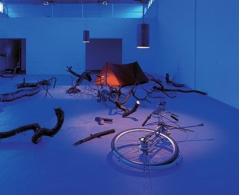 Simon Starling: Carbon | Art Installations, Sculpture, Contemporary Art | Scoop.it