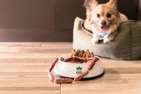 Why should you choose Ziwi peak food for your furry companion? | Ana Brenda | Scoop.it