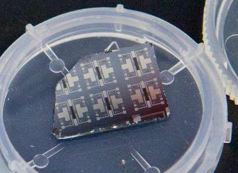 Harvard scientists invent the synaptic transistor that learns while it computes | omnia mea mecum fero | Scoop.it