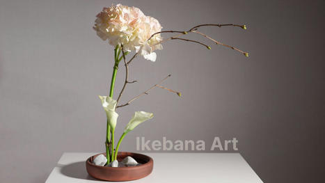 Japanese Flower Designs and the art of Ikebana | Same Day Flower Delivery in Dubai | Scoop.it