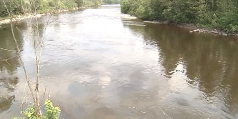 Lac-Mégantic : la contamination de la rivière Chaudière ne cesserait d'augmenter (VIDÉO) | water news | Scoop.it