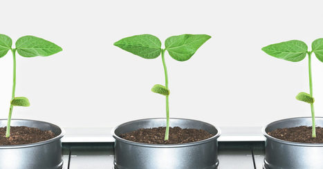 9 Billion People Will Live On This Planet By 2050. We Can Feed Them All&mdash;IF We Start Now | Plant Biology Teaching Resources (Higher Education) | Scoop.it