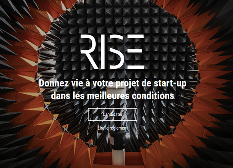 CNRS Innovation  RISE - Donnez vie à votre projet de start-up dans les meilleures conditions | Life Sciences Université Paris-Saclay | Scoop.it