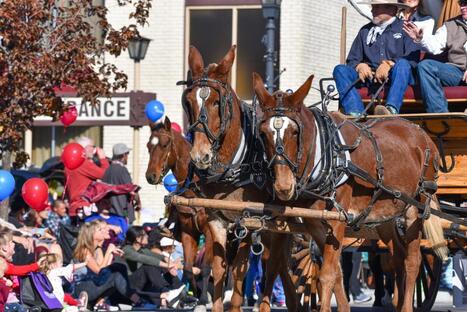 Nevada Day Parade 2025 Lineup announced | Industry 411 - Waste Management | Scoop.it
