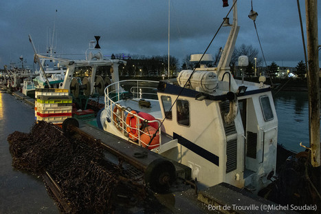 Le désarroi des pêcheurs français confinés par Vanina Delmas | Politis | HALIEUTIQUE MER ET LITTORAL | Scoop.it
