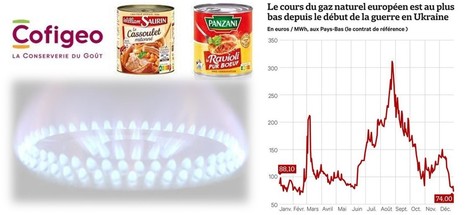 Crise de l’énergie : Cofigeo, géant de l’agroalimentaire, met 80 % de sa production à l’arrêt | Lait de Normandie... et d'ailleurs | Scoop.it