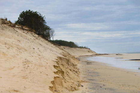 Changement climatique et montée des eaux : la difficile modélisation des risques sur le littoral néo-aquitain | Regards croisés sur la transition écologique | Scoop.it