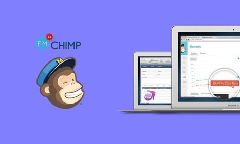 FM Chimp 3.0 - FileMaker Examples | Learning Claris FileMaker | Scoop.it