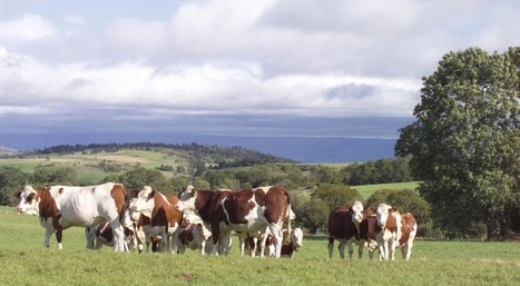 L’agriculture : une partie de la solution au réchauffement climatique | Elevage et environnement | Scoop.it