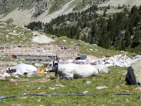 La construction du refuge d'Aygues-Cluses à l'arrêt ? | Vallées d'Aure & Louron - Pyrénées | Scoop.it