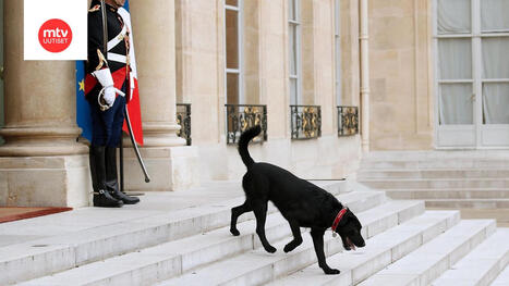 Poliisi ratsasi presidentinpalatsin Ranskassa | 1Uutiset - Lukemisen t&auml;hden | Scoop.it