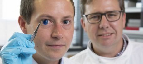First 3D printed human corneas | Amazing Science | Scoop.it