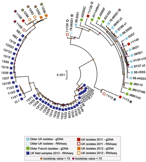 Genome Biology: Field pathogenomics reveals the emergence of a diverse wheat yellow rust population (2015) | Plant Pathogenomics | Scoop.it