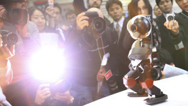 The future of Twitter is robots tweeting at each other | random computing | Scoop.it