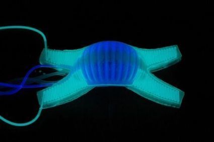 NextGen Soft Robots Mimic Octopus & Squids | Science News | Scoop.it