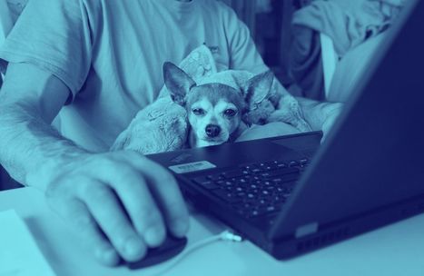 25 remote employee engagement activities that spark joy | Retain Top Talent | Scoop.it