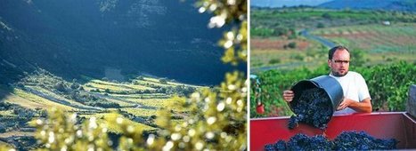 Oenotourisme en Languedoc : Le charme  des Terrasses du Larzac | Gastronomie - Oenotourisme en Languedoc | Scoop.it
