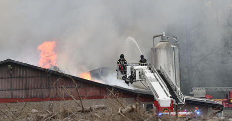 48&nbsp;000 h&ouml;ns d&ouml;da efter brand utanf&ouml;r Perstorp | 1Uutiset - Lukemisen t&auml;hden | Scoop.it