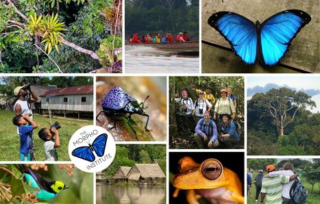 Your Donations Make the Magic Happen!  | RAINFOREST EXPLORER | Scoop.it