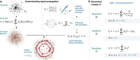 Multi pathways temporal distance unravels the hidden geometry of network-driven processes | Papers | Scoop.it