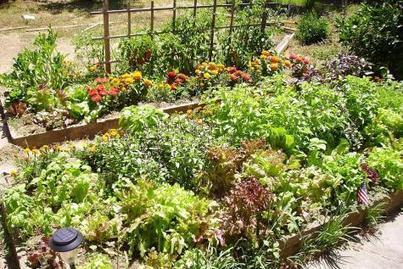 La permaculture, au cœur du potager du futur | Les Colocs du jardin | Scoop.it