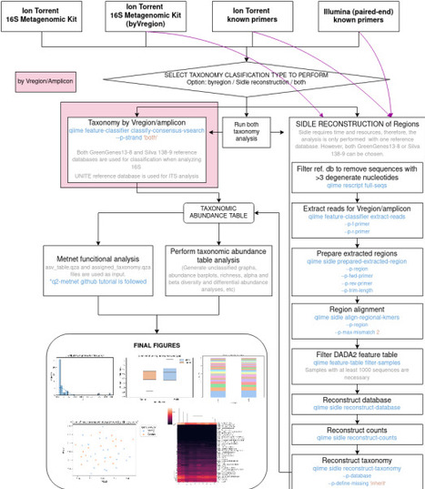 MBIOME: A comprehensive, reproducible, and open-source workflow for amplicon-based microbiome data analysis | brvbi | RMH | Scoop.it