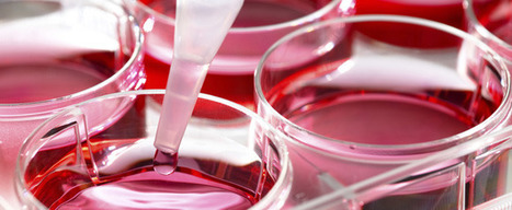 Swiss Biotech Roundtable: next-generation antibodies | Swiss Re - Centre for Global Dialogue | Immunology and Biotherapies | Scoop.it