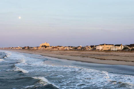 Possible Shark Bite Injures Man at Jersey Shore Beach | Soggy Science | Scoop.it