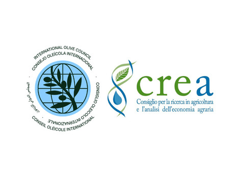 IOC and CREA Sign MoU to Advance Olive Sector Research and Innovation | OLIVE NEWS | Scoop.it