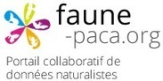 Balade naturaliste : La vie des plantes aromatiques et l’aromathérapie dans l’Estérel | La Cabane aux Arômes | Scoop.it