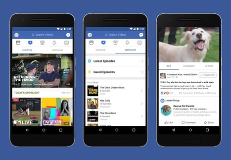 Facebook lance Watch, sa plateforme de vidéos originales - Blog du Modérateur | Tendances, technologies, médias & réseaux sociaux : usages, évolution, statistiques | Scoop.it