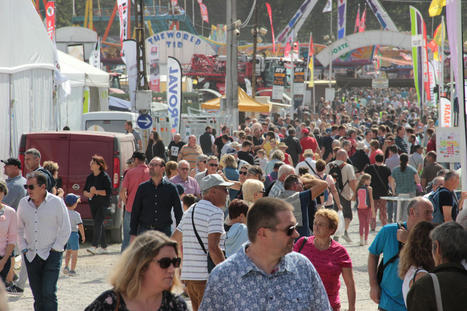 Foire de Béré à Châteaubriant : consignes sanitaires, horaires, on fait le point | Actualité Bétail | Scoop.it