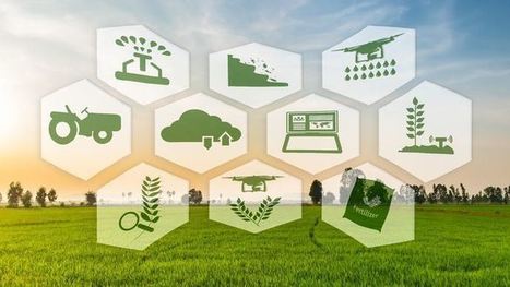 CoFarming Quand l'agriculture se met à l'économie collaborative 3.0 | green et digital ! | Scoop.it