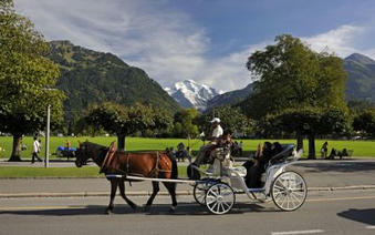 Touristen aus den Golfstaaten, anspruchsvoll, aber unverzichtbar | (Macro)Tendances Tourisme & Travel | Scoop.it