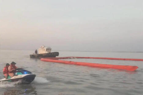 Avertissement pour une mar&eacute;e noire dans l'estuaire de Bah&iacute;a Blanca : les plaintes des &eacute;cologistes et la r&eacute;ponse de l'entreprise / le 14.01.2026 | Pollution accidentelle des eaux (+ d&eacute;chets plastiques) | Scoop.it
