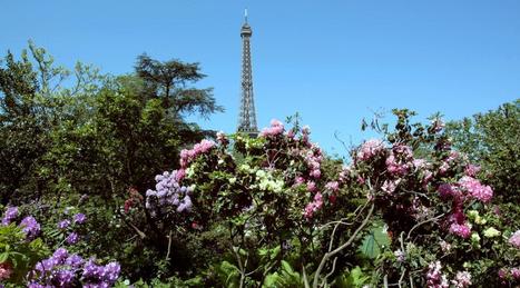 Un quart des espèces vivant en Ile-de-France sont menacées | EntomoNews | Scoop.it