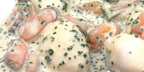 Astuce de chef : apprenez à préparer des quenelles de poisson | Hobby, LifeStyle and much more... (multilingual: EN, FR, DE) | Scoop.it
