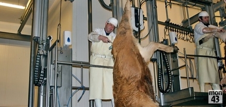 Le Puy-en-Velay (63) : l'abattoir au coeur d'un congrès | La Gazette des abattoirs | Scoop.it