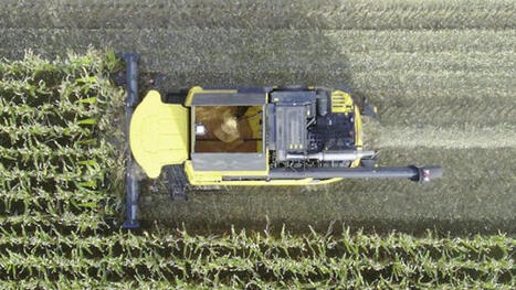 Primé au Sommet, ce cueilleur à maïs récolte et andaine en même temps - agri mutuel | Pour innover en agriculture | Scoop.it